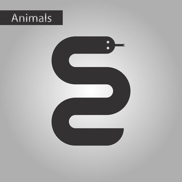 black and white style icon snake