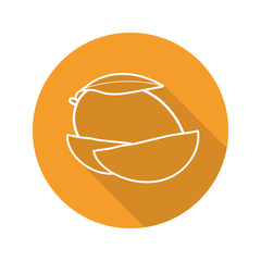 Mango fruit flat linear long shadow icon