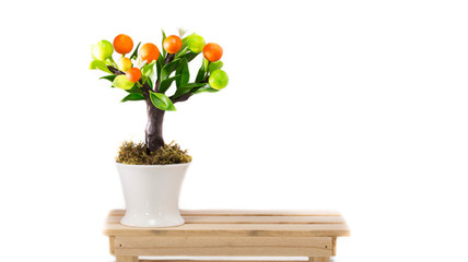 Chinese orange tree