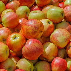 tasty apples on a market