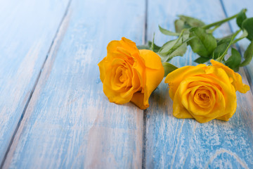 Yellow roses  on blue  wooden table.