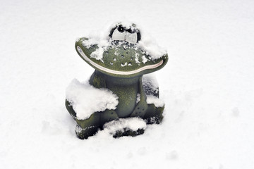 Frosch im Schnee