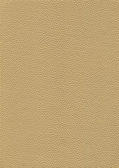 full frame leather background