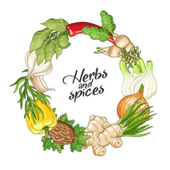 Vector vegetable circle wreath template with spices and herbs. Decorative colorful composition with type design