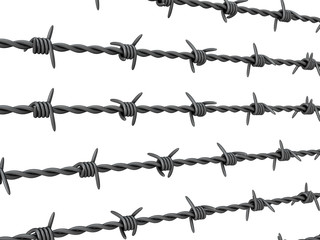Barbed wire on white