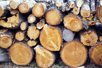 Natural wood background, wood, firewood stacked and ready for us