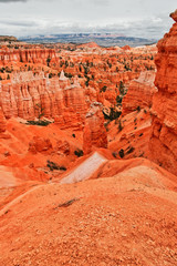View from viewpoint of Bryce Canyon. Utah. USA