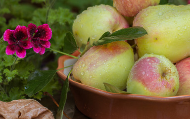 Autumn still life with red apples and leaves