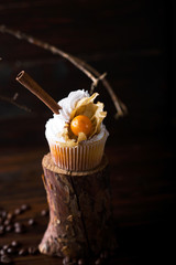 Chocolate cupcakes with white butter cream, decorated with winter cherry on a dark wooden background. Decorated with cinnamon sticks, coffee beans