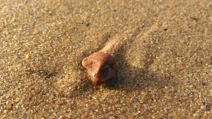 Red stone in the beach