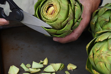 Preparing Artichokes