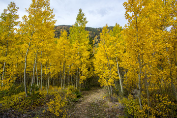 Colorado Fall Landscape