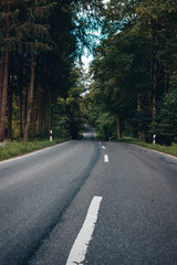old asphalt road in the autumn season. on the roadway visible white markings. On the side of bare birch trees grow. Photo taken closeup. Small depth of field. The photo was taken from the bottom