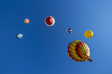 Hot Air Balloon Festival