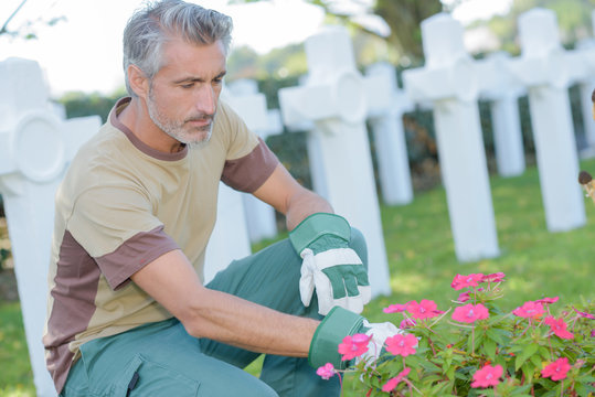 Man tending flowers in graveyard