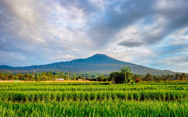 Slamet Mountain in the morning. Clouds hovering over the mountain in a rural area of Indonesia