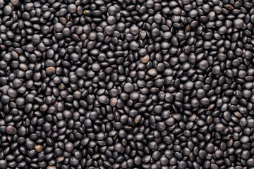 Food and cookery background of healthy dried  black lentils.