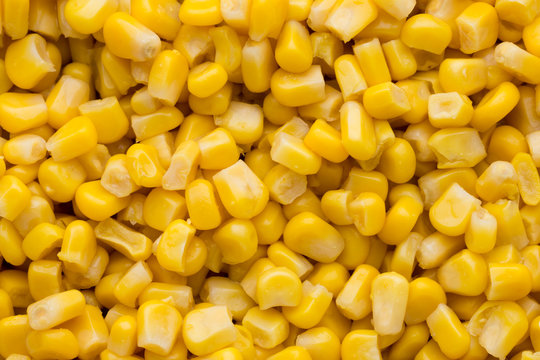 Bulk of yellow corn grains texture.
