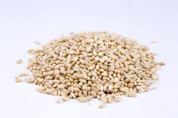 Beyaz fon üzerinde buğday