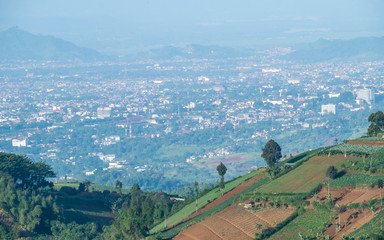 Aerial view of plantation on top of the hill and scenery of bandung city from faraway, captured  from Moko Hills when weather is sunny, Bandung, Indonesia
