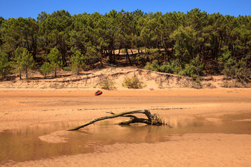 Liencres dunes nature reserve