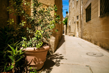Fototapeta na wymiar Malta courtyard with flowers
