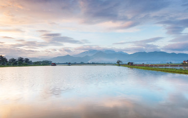 Photo of very vast, broad, large, spacious pond, stretched into the horizon. Behind it is a line of hills and mountains that also expansive, and beautiful cloud purple sky. This photo captured at sunr