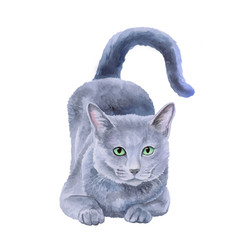 Watercolor portrait of rare exotic Nebelung cat, Longhaired Russian Blue isolated on white background. Hand drawn detailed sweet home pet. Bright colors, realistic look. Greeting card design. Clip art - 133333962