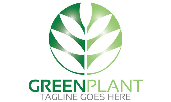 Green Plant Logo