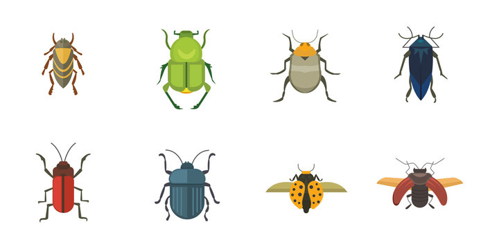 Set of insects flat style vector design icons. Collection nature beetle and zoology cartoon illustration