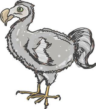 gray dodo bird standing, side view clip art preview