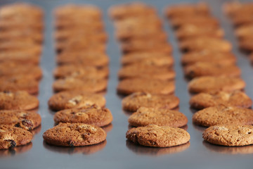 Production line of baking  cookies, closeup