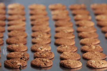 Production line of baking  cookies, closeup