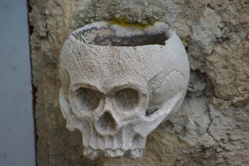 stone skull
