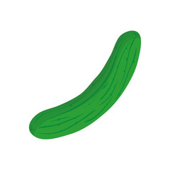 Fresh cucumber vegetable icon vector illustration graphic design