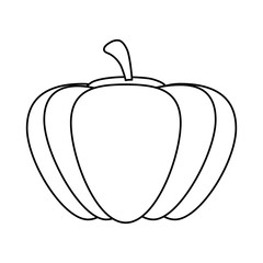 Fresh pumpkin vegetable icon vector illustration graphic design