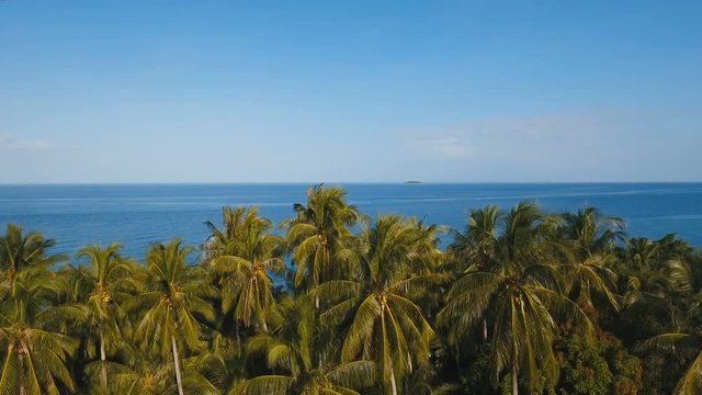 Tropical landscape with the sea and palm trees against a blue sky. Philippines, Camiguin. 4K video. Aerial footage.