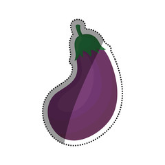 Fresh eggplant vegetable icon vector illustration graphic design