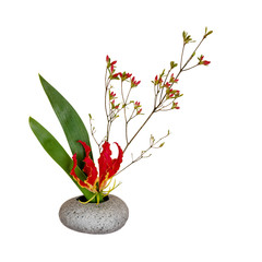 Naklejka premium Ikebana vor weißem Hintergrund
