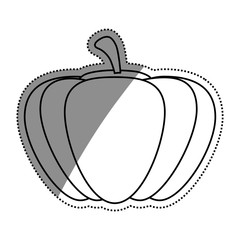Fresh pumpkin vegetable icon vector illustration graphic design