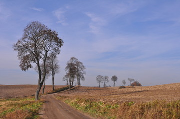 Polska - Mazury - Olsztyn - Krajobraz © Rafa