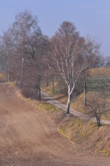 Polska - Mazury - Olsztyn - Krajobraz © Rafa