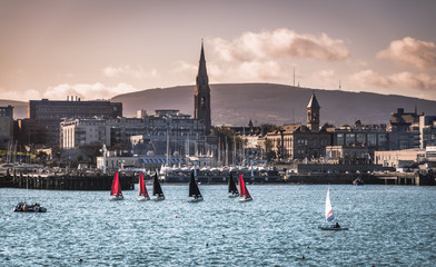 Bray harbour