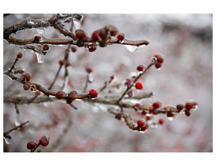 A Moment In Time