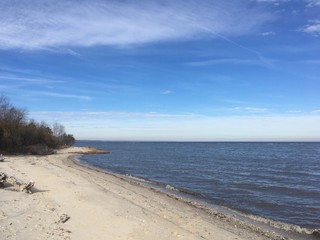 Chesapeake Bay beach in winter
