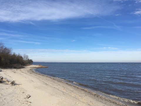 Chesapeake Bay Beach In Winter