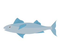 mackerel fish sea life design icon vector illustration eps 10