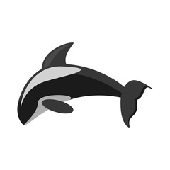Fototapeta premium killer whale marine wildlife species vector illustration eps 10