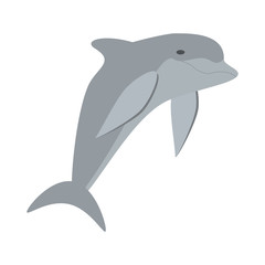 dolphin ocean fish friendly cute vector illustration eps 10