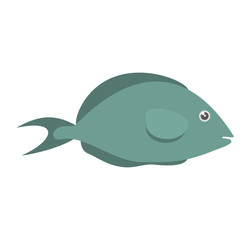 fish aquarium ornament habitat vector illustration eps 10